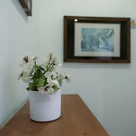 Holiday home Douro Garden And Rooftop 2 *